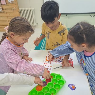 Escola Baró de Viver - Projectes - Ens expressem