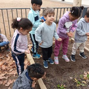 NETEGEM L'HORT I PLANTEM RAVES